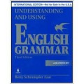 Understanding and using english english grammar