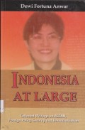 Indonesia at large collection writings on ASEAN, foreign policy, security and democratisation