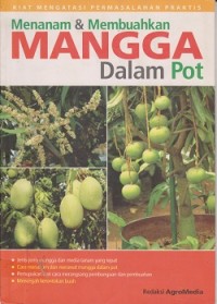 Menanam dan membuahkan mangga dalam pot