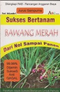 Jurus sempurna bertanam bawang merah dari nol sampai panen