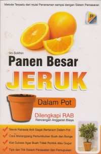 Panen besar jeruk dalam pot dilengkapi RAB (Rancangan Anggaran Biaya)